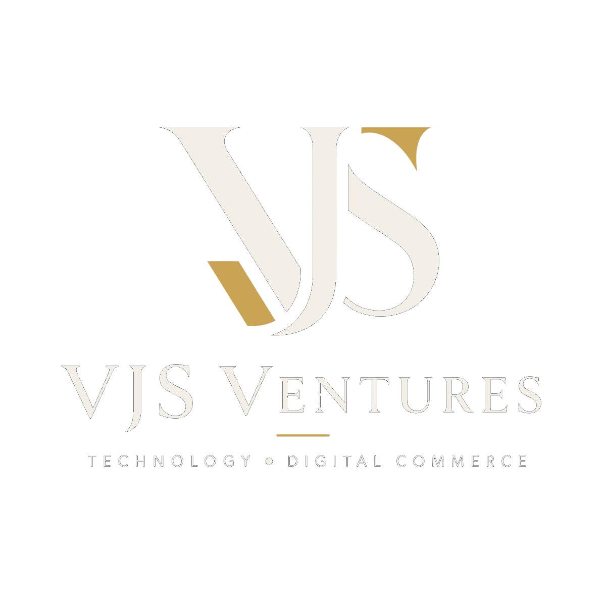 VJS Ventures logo